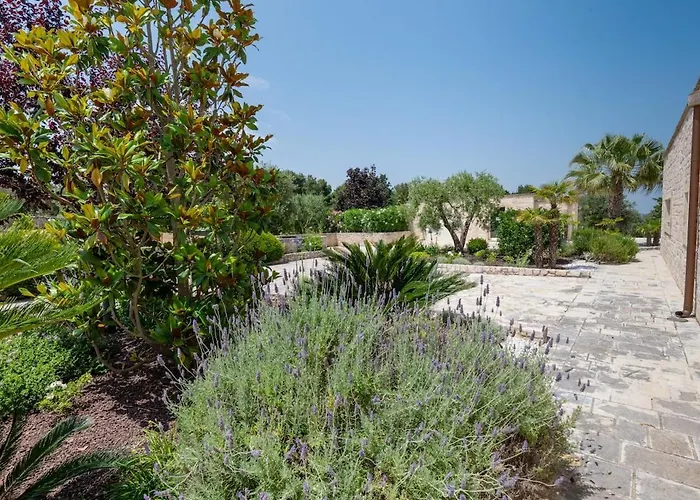 Cavaliere Мартина-Франка